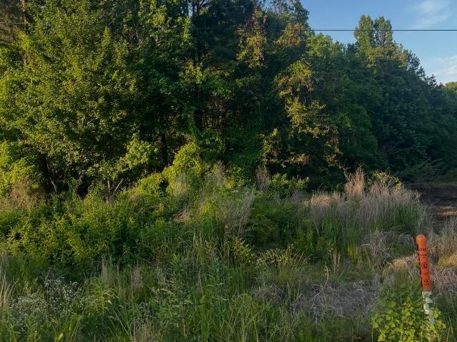 Land for sale in Ark
