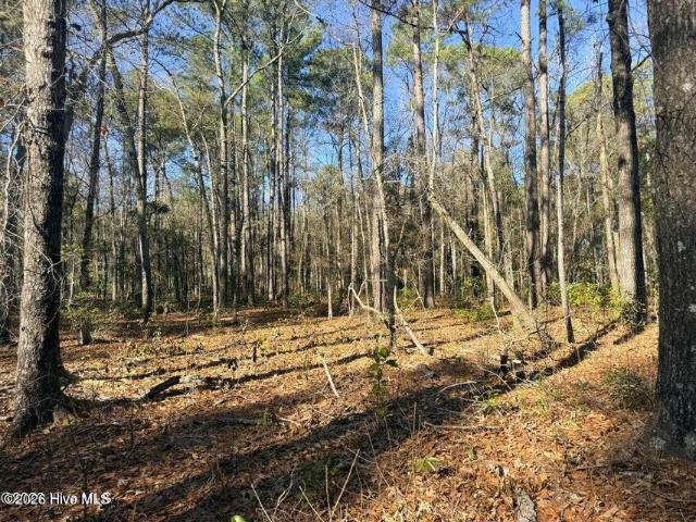 Land for sale in Burgaw, North Carolina