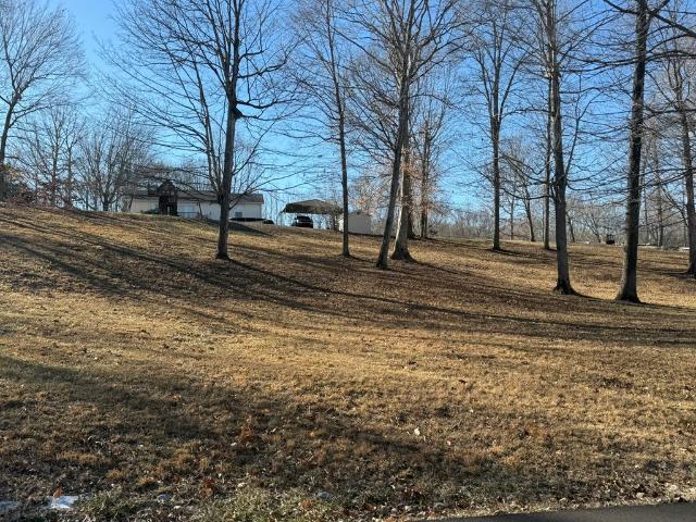 Land for sale in Albany, Kentucky