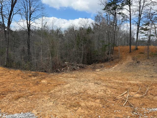 Land for sale in Monticello, Kentucky