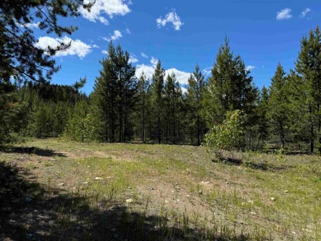 Land for sale in Dunster, British Columbia
