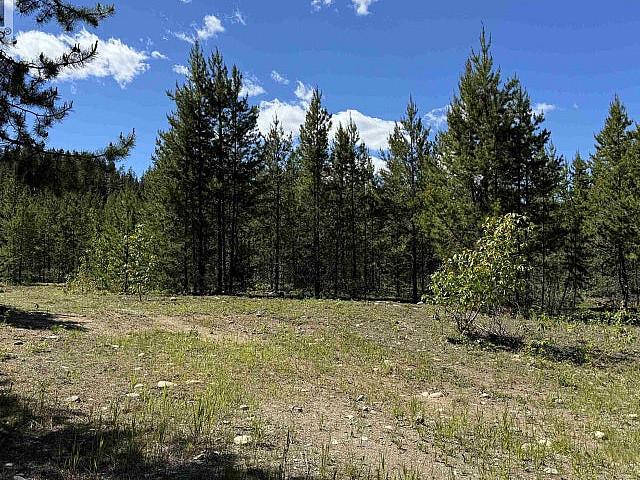 Land for sale in Dunster, British Columbia
