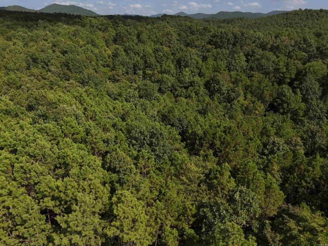 Land for sale in Ark