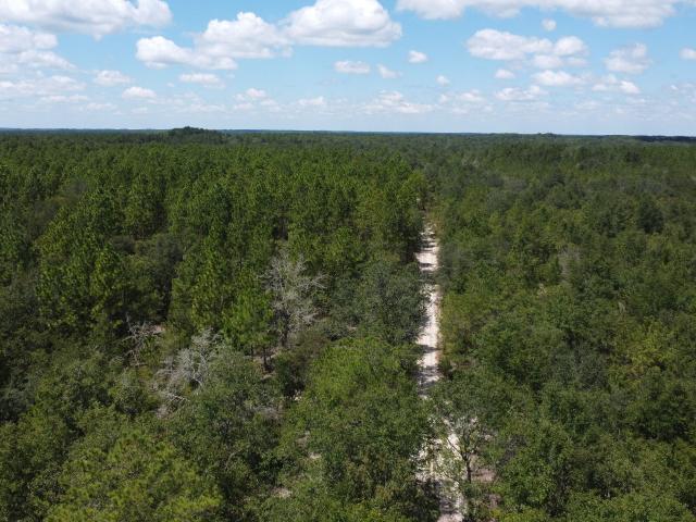 Land for sale in Pembroke, Bryan County