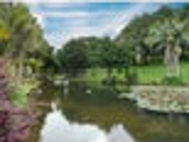Land for sale in Karetu, Northland