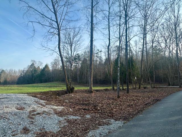 Land for sale in Laurel, Kentucky