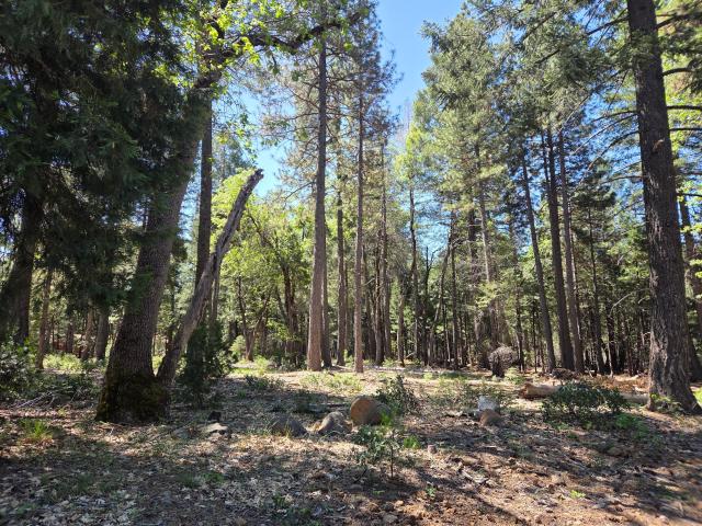 Land for sale in Shasta, California