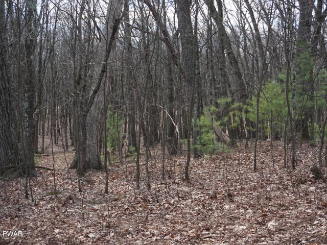 Land for sale in Dingmans Ferry, Pennsylvania