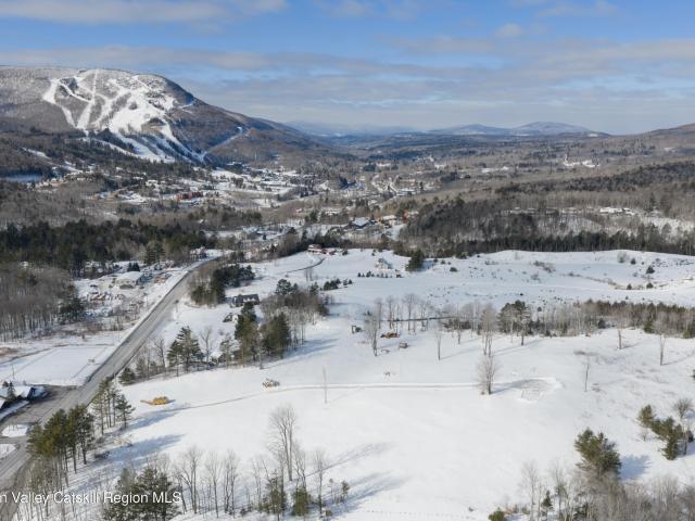 Land for sale in Town of Hunter, Greene County