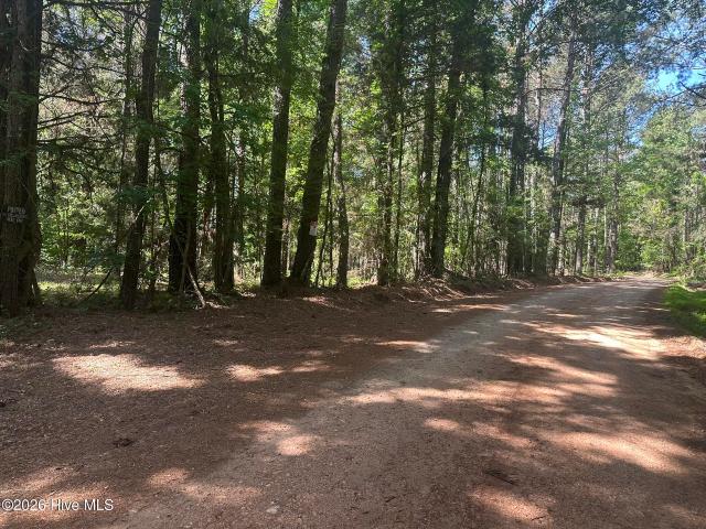 Land for sale in Rayle, Georgia