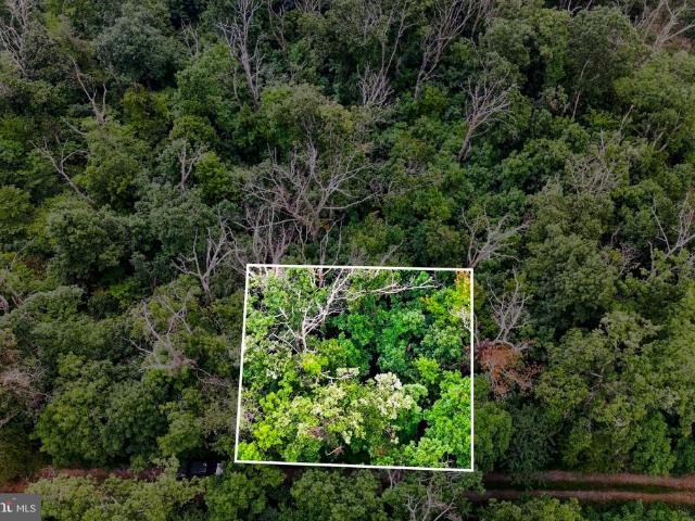 Land for sale in Virginia