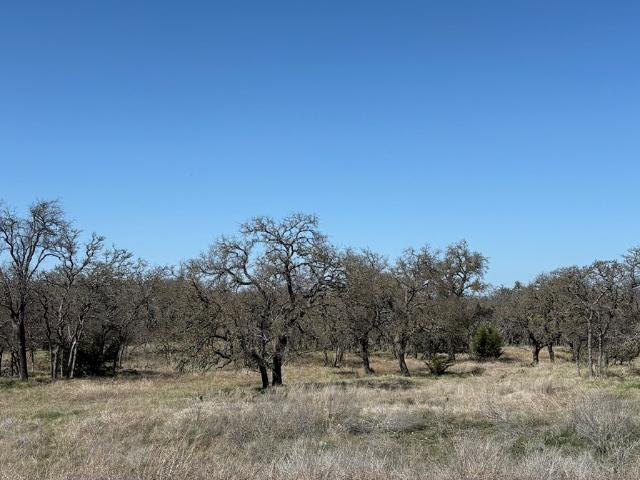 Property for sale in Doss, Texas