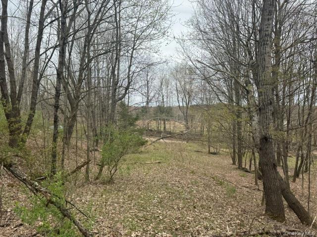 Land for sale in Meridale, New York