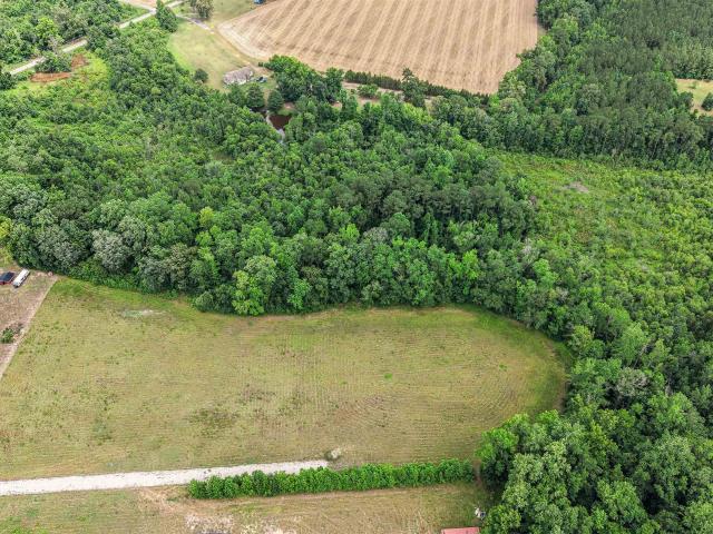 Land for sale in Johnsonville, South Carolina