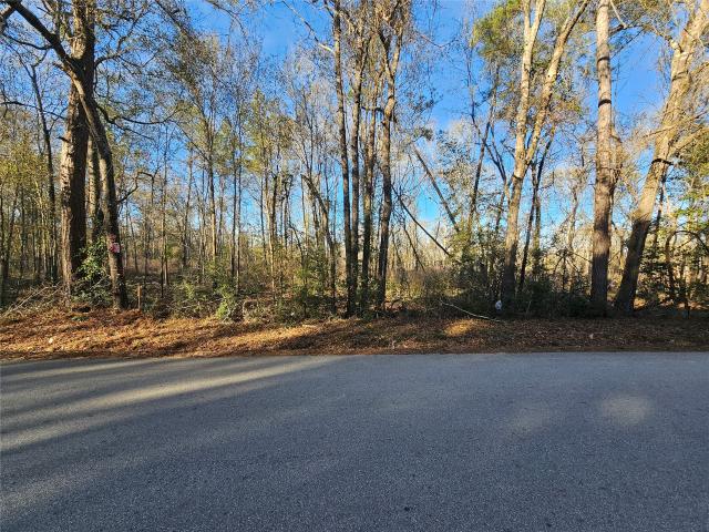 Land for sale in Shepherd, Texas
