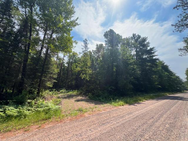 Land for sale in Sawyer, Wisconsin