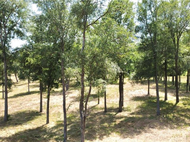 Land for sale in Belton, Bell County