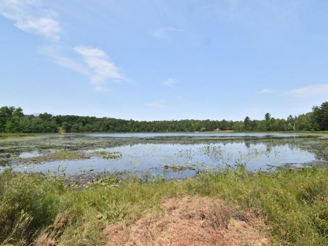 Land for sale in Swiss, Wisconsin