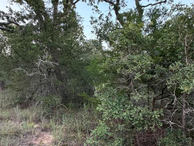 Land for sale in Paige, Texas