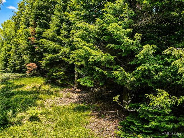 Land for sale in Michigan