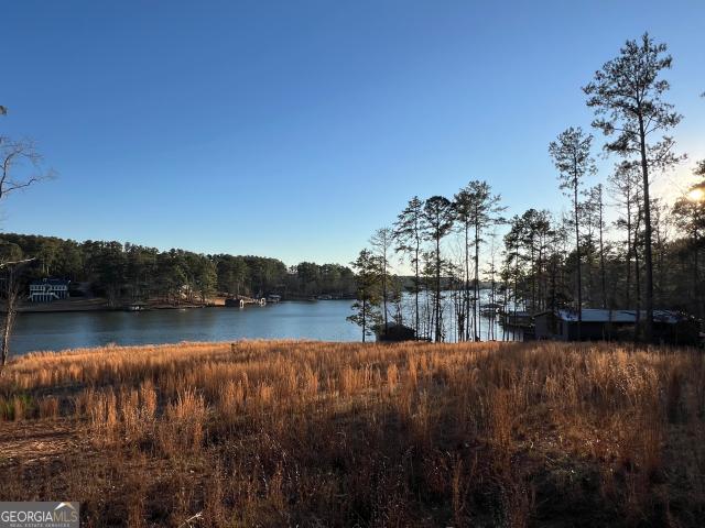 Land for sale in Sparta, Georgia