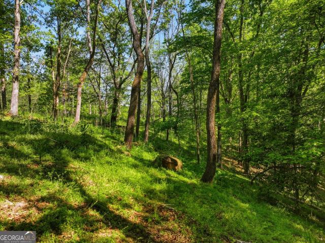 Land for sale in Dahlonega, Georgia