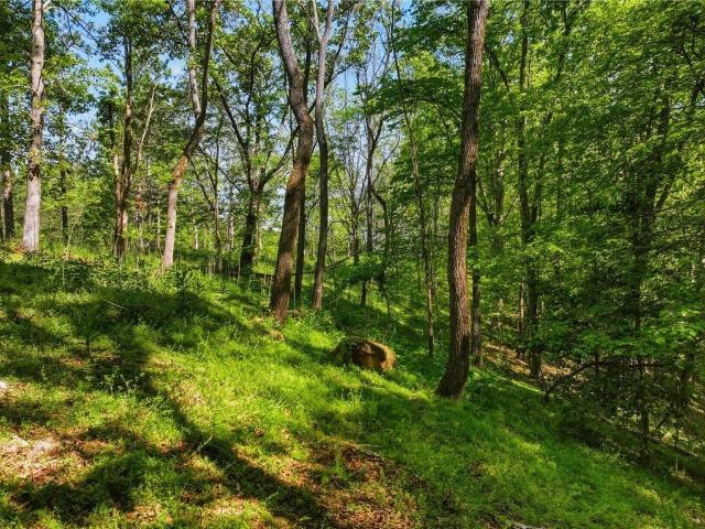 Land for sale in Dahlonega, Lumpkin County
