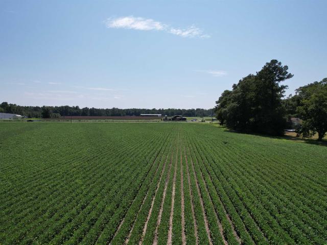 Land for sale in Kingstree, South Carolina