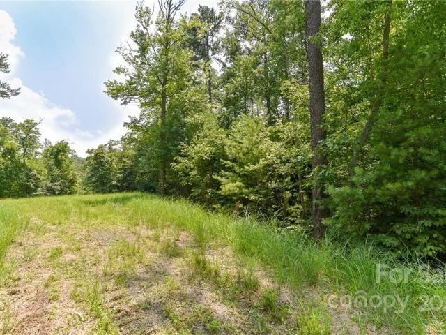Land for sale in Marshall, North Carolina