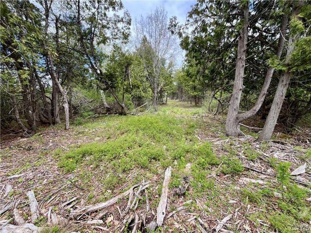 Land for sale in New York
