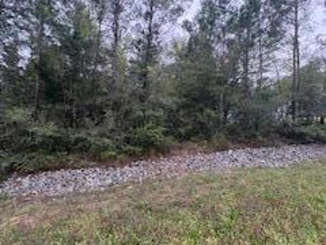 Land for sale in Walton, Florida