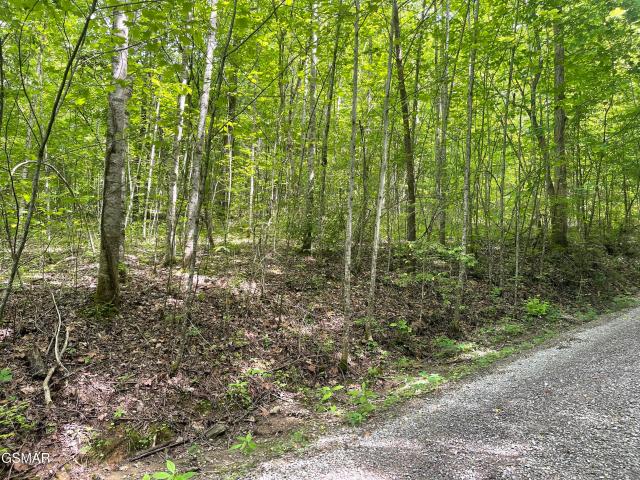 Land for sale in Tennessee