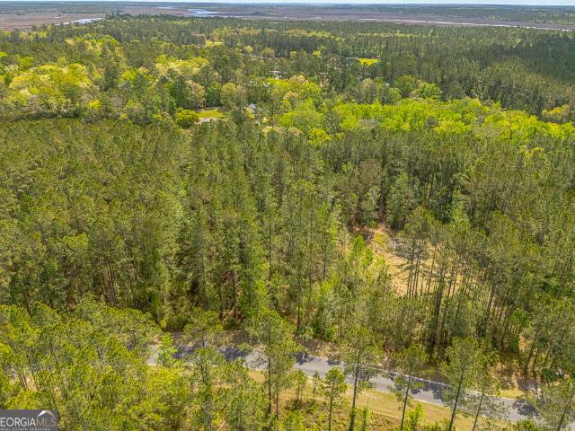 Land for sale in Georgia