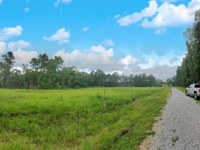 Land for sale in Walker, Louisiana