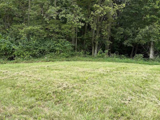 Land for sale in Mulberry, Indiana