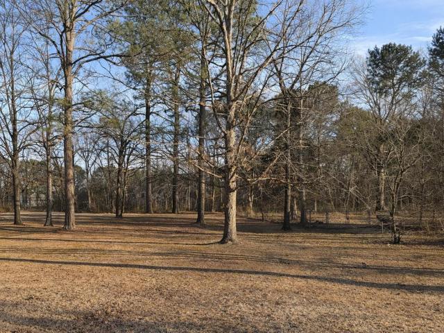 Land for sale in Granville, North Carolina