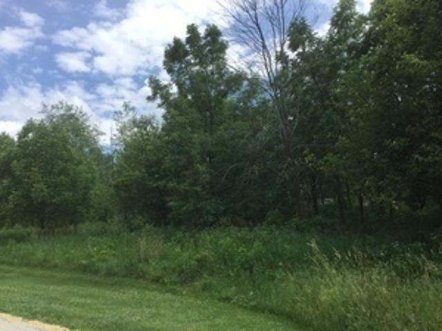 Land for sale in Genoa, Illinois