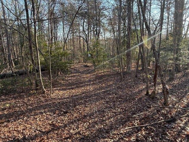 Land for sale in Warne, North Carolina