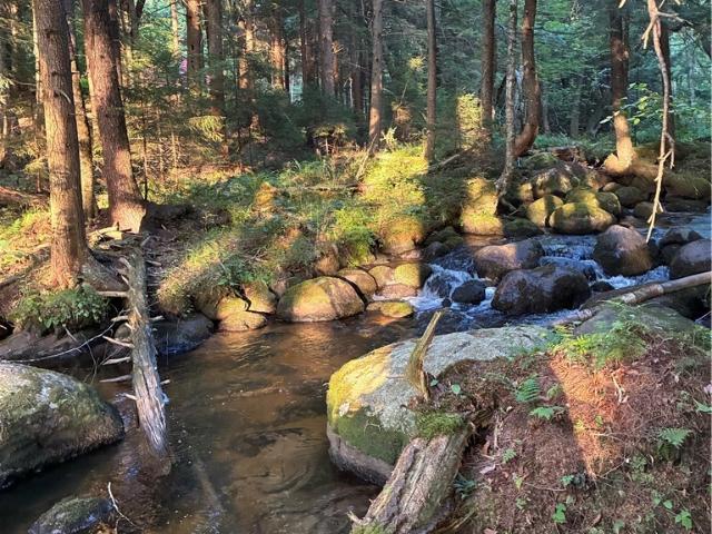 Land for sale in Oneida, New York