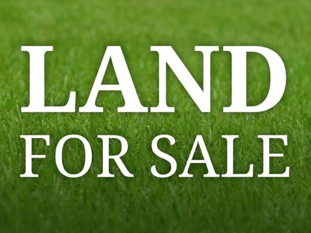 Land for sale in Independence, Louisiana