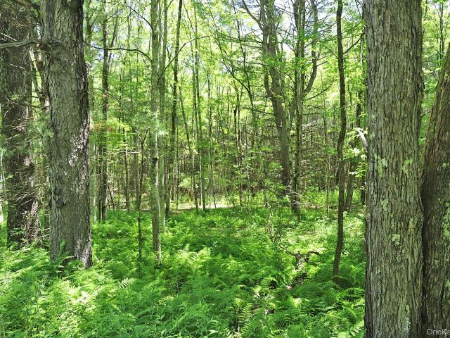 Land for sale in Bethel, New York
