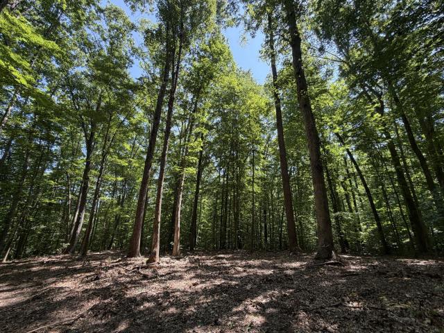 Land for sale in Virginia
