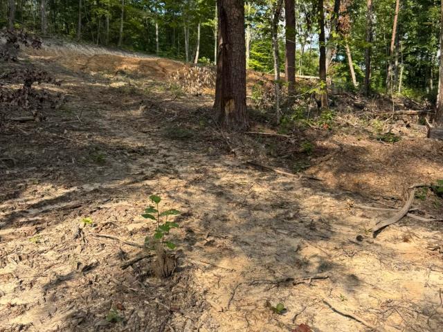 Land for sale in Luttrell, East Tennessee
