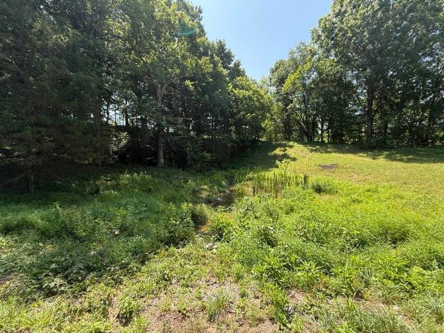 Land for sale in Scottsville, Allen County