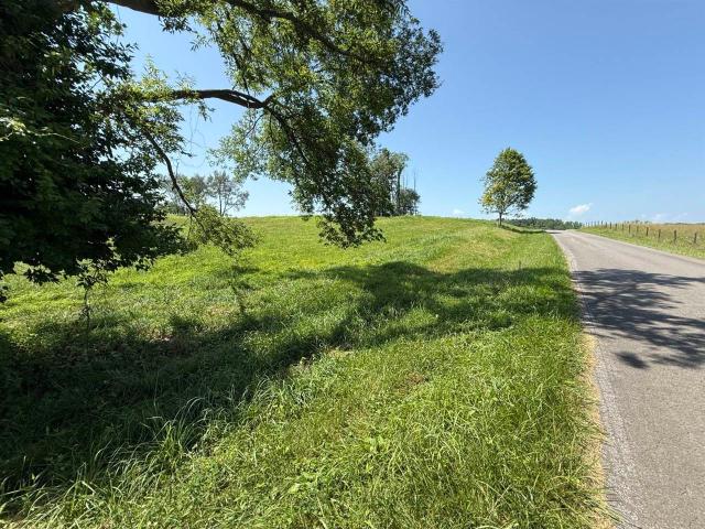 Land for sale in Scottsville, Allen County
