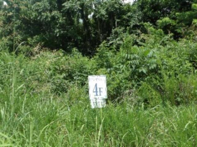 Land for sale in Tennessee