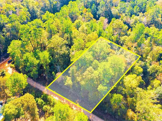Land for sale in Polk, Texas