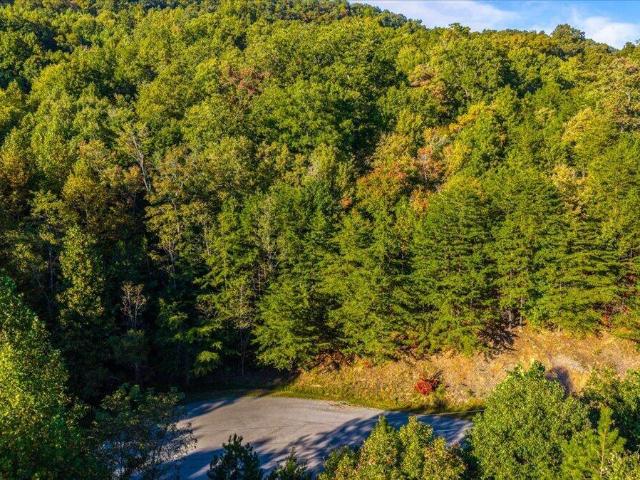 Land for sale in Lone Mountain Shores, New Tazewell
