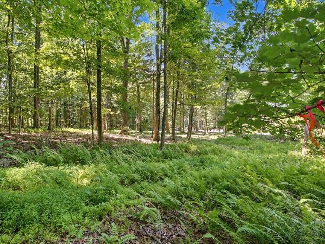 Land for sale in Virginia