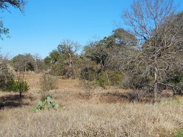 Land for sale in Llano, Texas